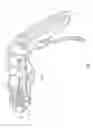 Fig. 02 - Apparatus for transcutaneously treating tissue