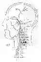 Fig. 02 - Neurological Treatment System
