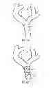 Fig. 06 - Neurological Treatment System