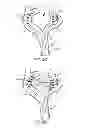 Fig. 07 - Neurological Treatment System
