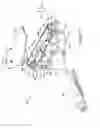 Fig. 09 - Dermatome blade assembly guard