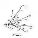 Fig. 09 - Vessel filter