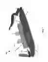 Fig. 02 - Therapy Wrap Device For Applying Pressure To Sciatic-Pain Trigger Points