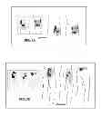 Fig. 04 - Therapy Wrap Device For Applying Pressure To Sciatic-Pain Trigger Points