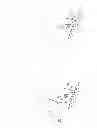 Fig. 01 - Digital fixation method of implanting a support in a patient