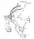 Fig. 01 - Methods and systems for treating seizures caused by brain stimulation