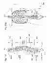 Fig. 17 - Method and system of quick neurostimulation electrode configuration and positioning