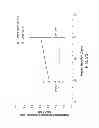 Fig. 29 - Crush Recoverable Polymer Scaffolds