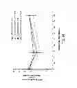 Fig. 30 - Crush Recoverable Polymer Scaffolds