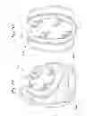 Fig. 23 - Heart valve sealing devices