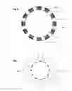 Fig. 08 - Inflatable intra ocular lens/lens retainer