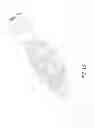 Fig. 33 - ARTIFICIAL DISC