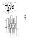 Fig. 08 - Valve for prosthesis attachment