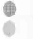 Fig. 07 - Coded bottle/container sealing device