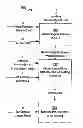 Fig. 01 - Predicting ice coating status on transmission lines