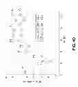 Fig. 10 - PARTICLE TRACKING IN BIOLOGICAL SYSTEMS