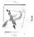 Fig. 11 - PARTICLE TRACKING IN BIOLOGICAL SYSTEMS