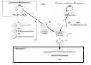 Fig. 01 - SYSTEM AND METHOD FOR COMPLIANCE EVENT AND INCIDENT MANAGEMENT (CEIM)