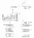 Fig. 01 - PREDICTIVE AND PROFILE LEARNING SALES AUTOMATION ANALYTICS SYSTEM AND METHOD