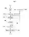 Fig. 06 - Platforms, systems, software, and methods for dynamic recapture of retail sales