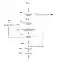 Fig. 07 - Platforms, systems, software, and methods for dynamic recapture of retail sales