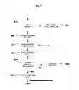 Fig. 08 - Platforms, systems, software, and methods for dynamic recapture of retail sales