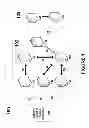 Fig. 02 - Advertisement-Based Internet Service Method and System for Implementing the Same