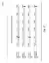 Fig. 28 - SYSTEMS AND METHODS FOR PRECISION RETAILING