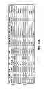 Fig. 07 - Multivariate transaction classification