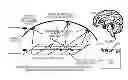 Fig. 01 - HYBRID INTERCONNECT STRATEGY FOR LARGE-SCALE NEURAL NETWORK SYSTEMS