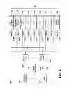 Fig. 06 - Predictive information topology modeling and visualization