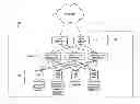 Fig. 01 - Simultaneous maintenance of multiple versions of a web-based business information system