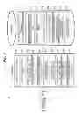 Fig. 03 - Non-transitory computer-readable medium, information classification method, and information processing apparatus