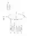 Fig. 02 - Information processing device, information processing method, and program
