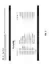 Fig. 07 - ENGINE, SYSTEM AND METHOD OF PROVIDING VERTICAL SOCIAL NETWORKS FOR CLIENT ORIENTED SERVICE PROVIDERS