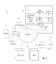 Fig. 02 - Classification and status of users of networking and social activity systems