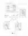 Fig. 06 - Classification and status of users of networking and social activity systems