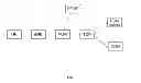 Fig. 02 - Method and node for automatically exchanging network service provider information