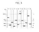 Fig. 07 - DEVICE OF CONTROLLING STREAMING OF MEDIA, SERVER, RECEIVER AND METHOD OF CONTROLLING THEREOF