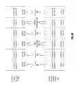 Fig. 72 - Secure data access in a dispersed storage network