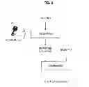 Fig. 10 - Security chip, program, information processing apparatus, and information processing system