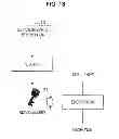 Fig. 19 - Security chip, program, information processing apparatus, and information processing system