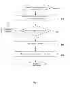 Fig. 06 - Dynamic adjustment of video quality