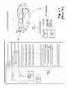 Fig. 02 - Integrated visualization