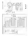 Fig. 03 - Integrated visualization