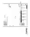 Fig. 07 - Method and System for Representation of Current and Historical Medical Data
