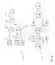 Fig. 05 - Information theoretic subgraph caching
