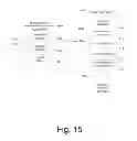Fig. 16 - Virtualization for diversified tamper resistance