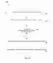 Fig. 06 - Scaling of application resources in a multi-tenant platform-as-a-service environment in a cloud computing system