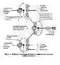 Fig. 09 - Scheduling in a multicore architecture